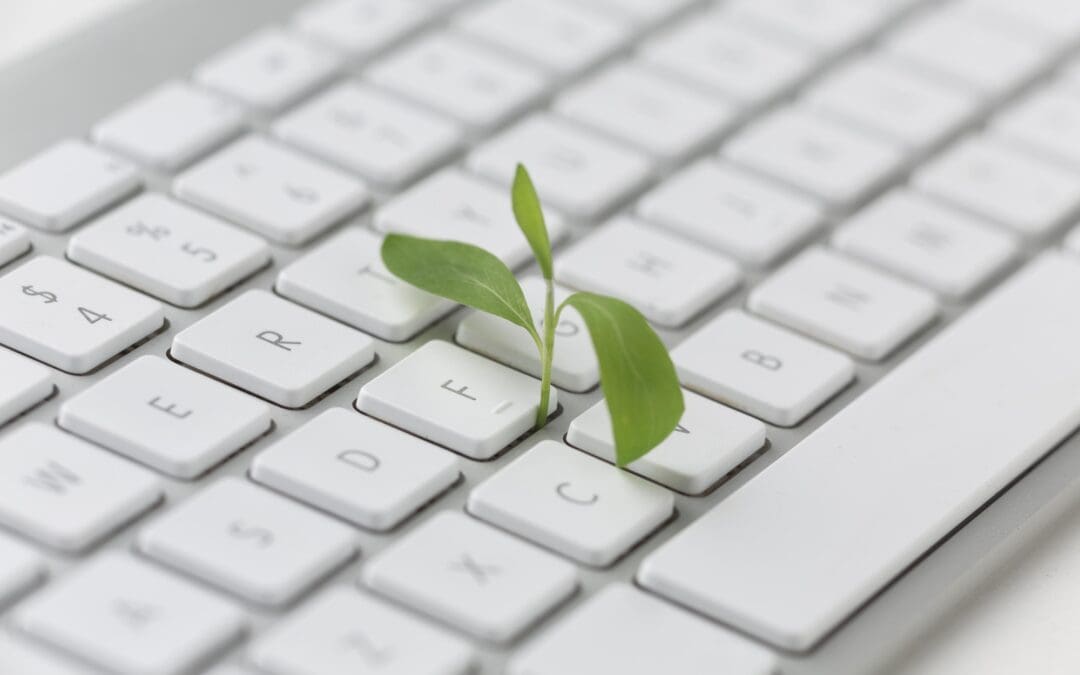 Eco-Friendly Digital Marketing Tips